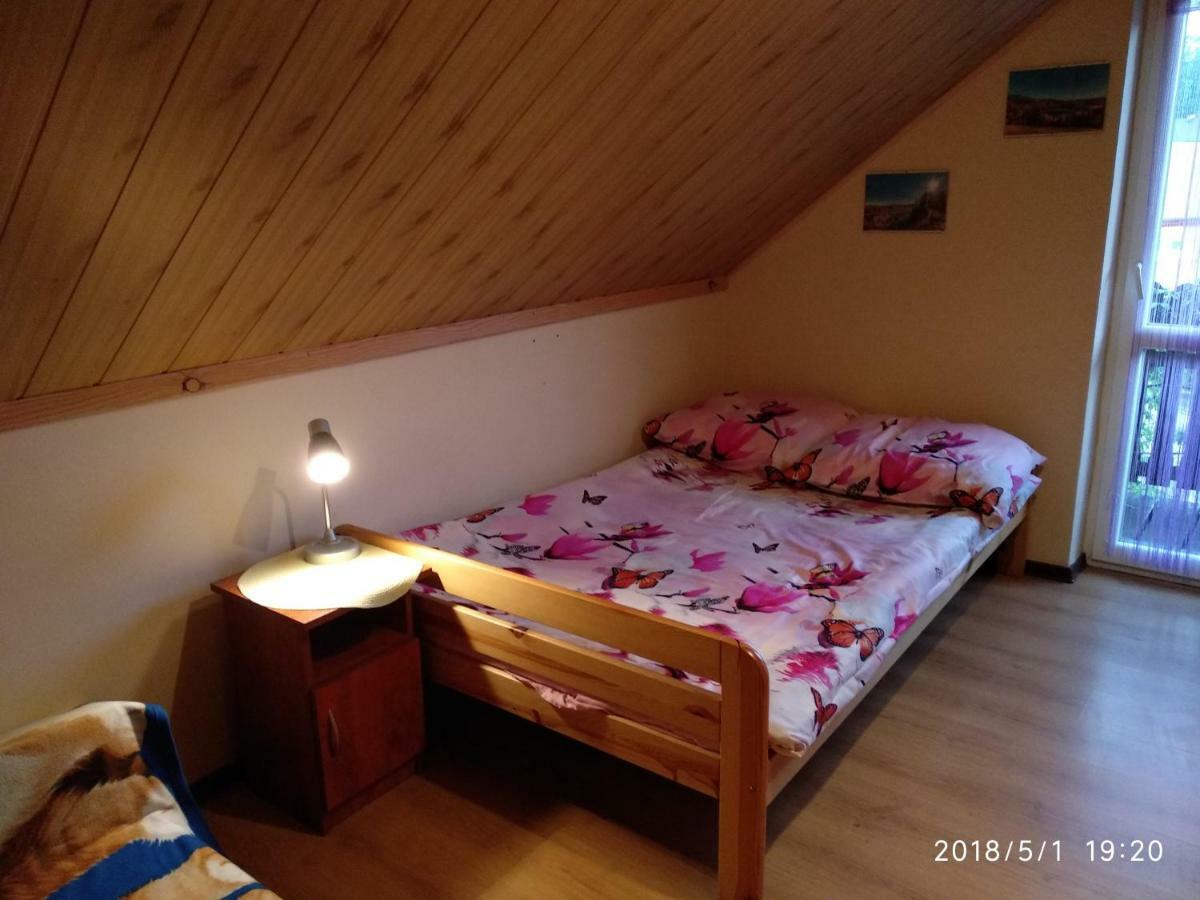 Domki U Strazaka Obiekt Caloroczny ソリナ エクステリア 写真